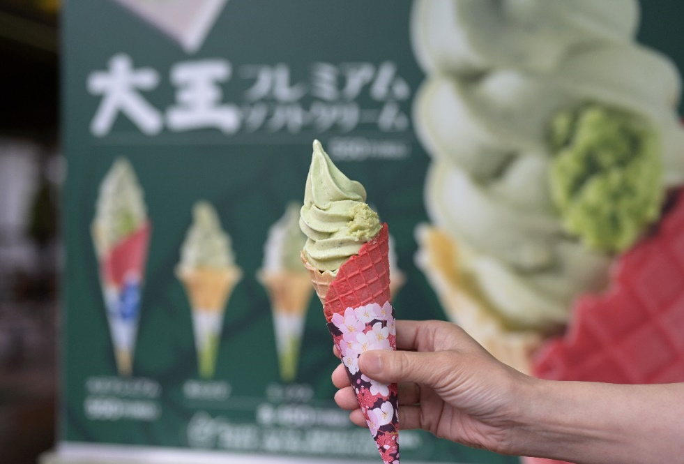 大王山葵农场景观