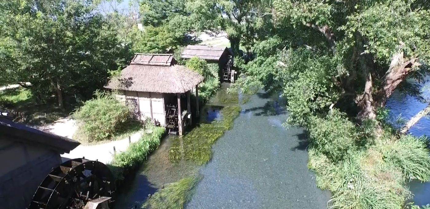 大王山葵农场景观
