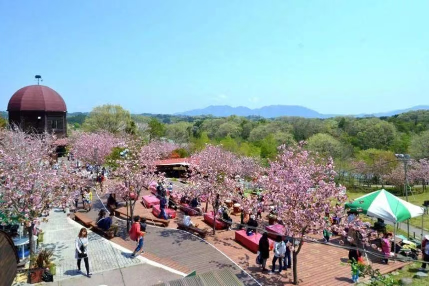 小布施町田园综合体展示图